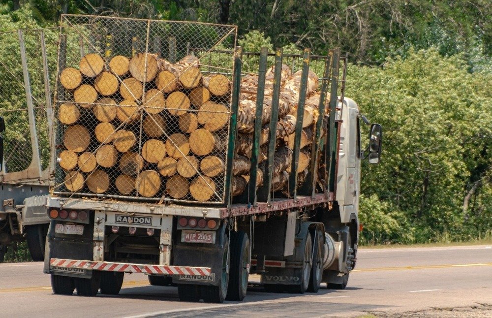 camion-grume-bois-1.jpg Acacia en grume – Camion complet 50 stères – Image 1