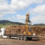 Hêtre en grume – Camion complet 50 stères